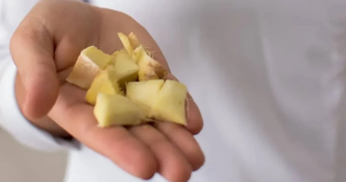 Nutrição do adulto na Laços Terapias, em Guarapari